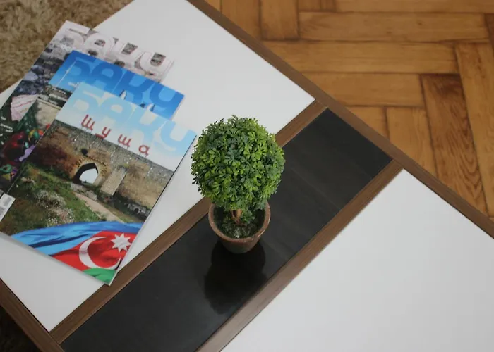 Central Baku New Apartment